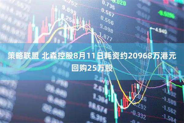 策略联盟 北森控股8月11日耗资约20968万港元回购25万股