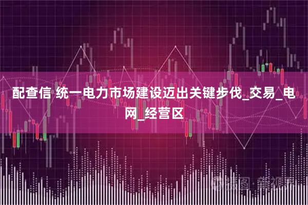 配查信 统一电力市场建设迈出关键步伐_交易_电网_经营区